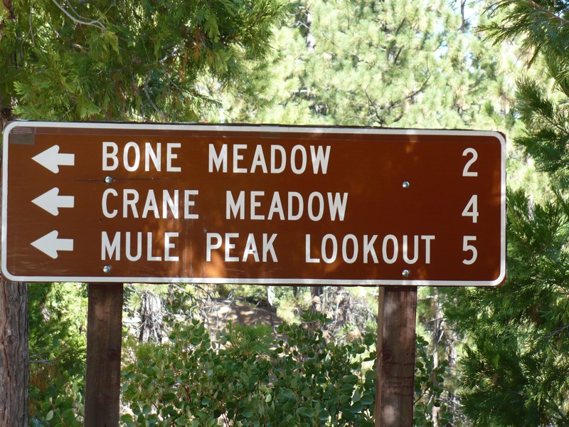 sign along Great Western Divide Highway