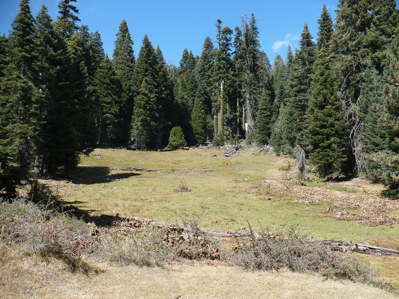 along forestry road