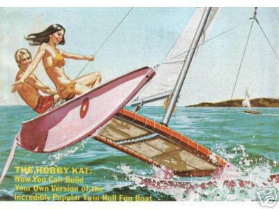 rendering of hobie cat sailing