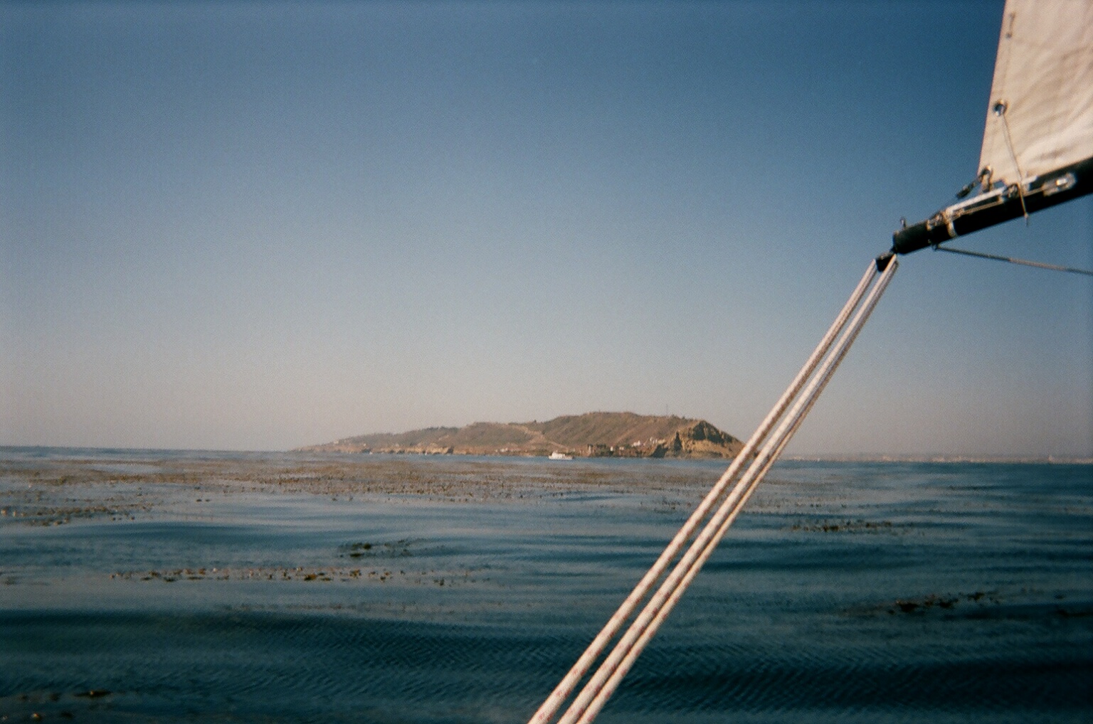 sailing through the kelp beds off Point Loma