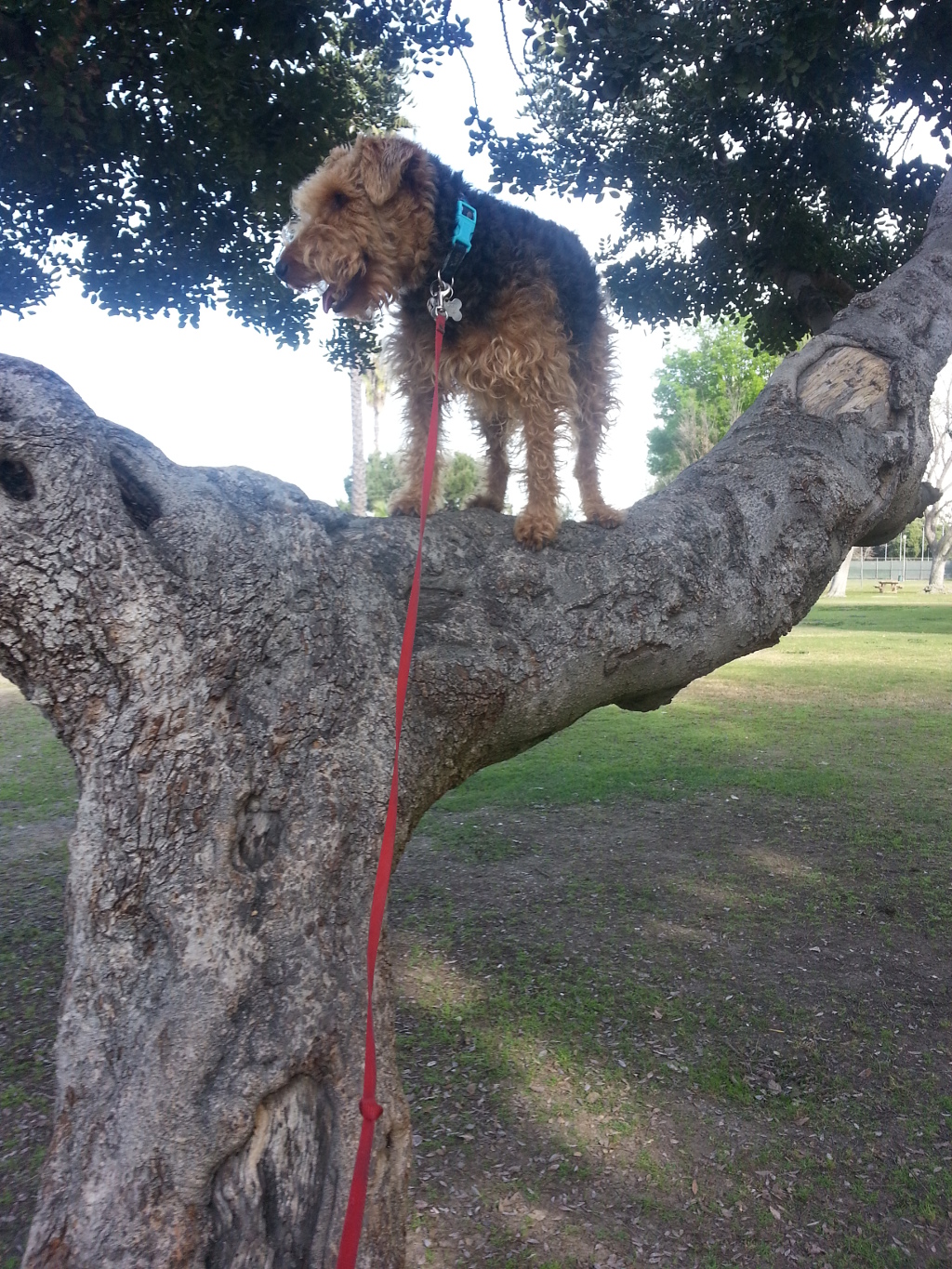 Marilyn In Da Tree