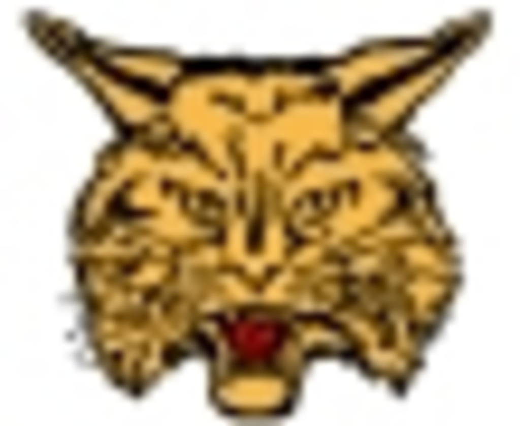 bobcat_logo2_sm.JPG